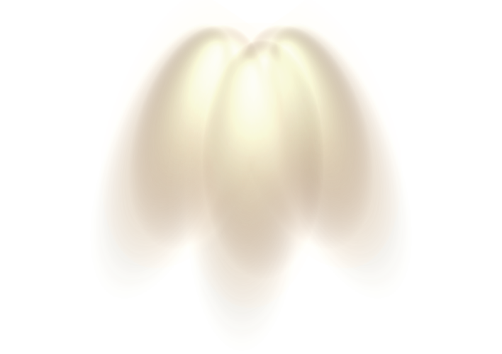 2990055