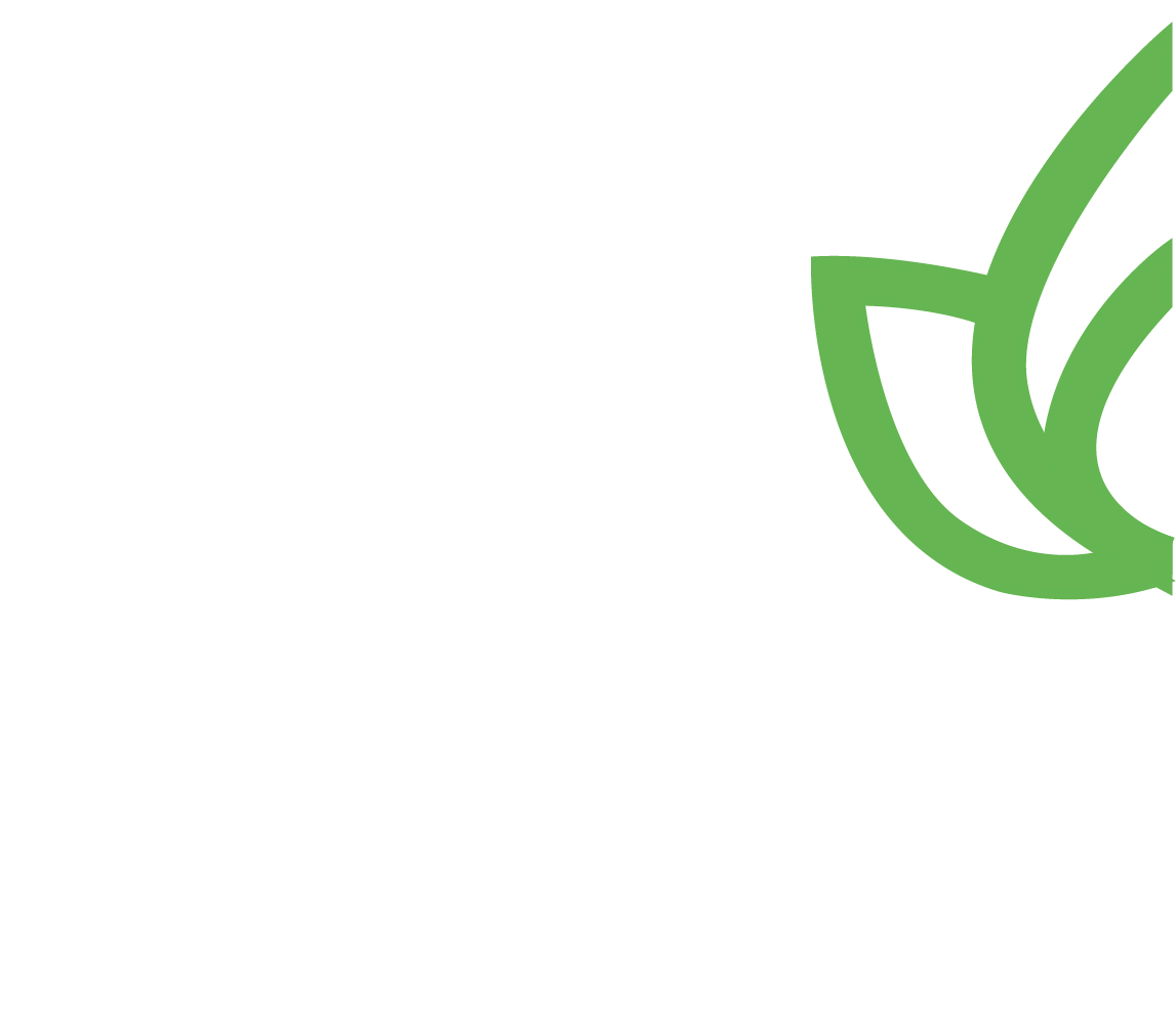 pacific green white and black